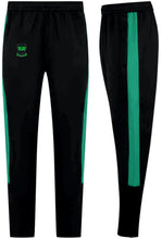 Load image into Gallery viewer, Albion Rovers Skinny Track Bottoms - Kids Sizes