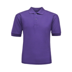 ADULT SIZE POLOS SHIRTS SIZE 2XL - VARIOUS COLOURS