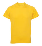 TriDri® panelled tech tee