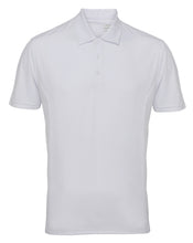 Load image into Gallery viewer, TriDri® panelled polo